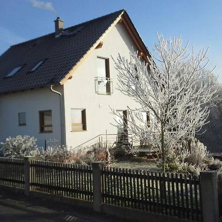 Appartment Am Traetzhof Фульда Екстер'єр фото