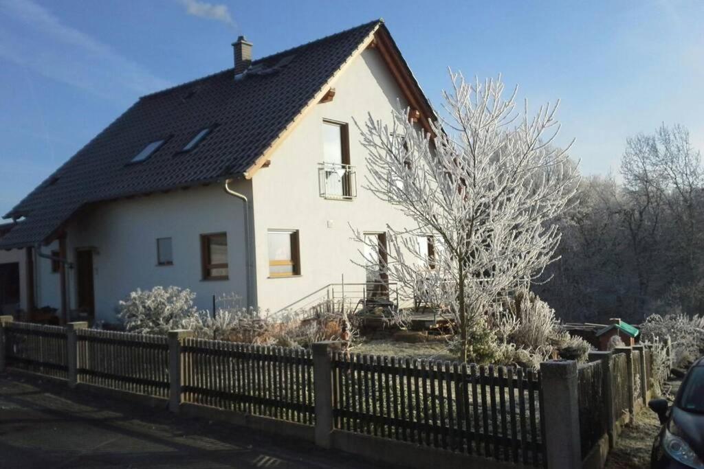 Appartment Am Traetzhof Фульда Екстер'єр фото